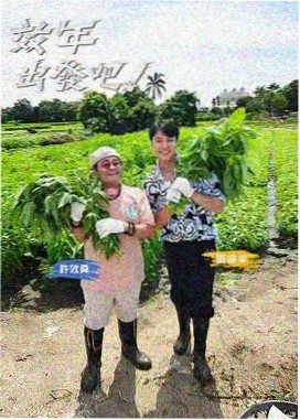 配音阵容公布资讯配图